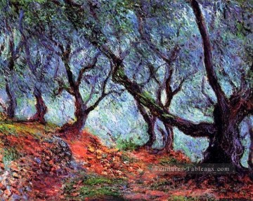 Claude Monet œuvres - Bosquet d’Oliviers à Bordighera Claude Monet